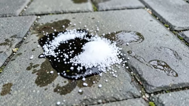 Jak usunąć olej z kostki brukowej domowym sposobem